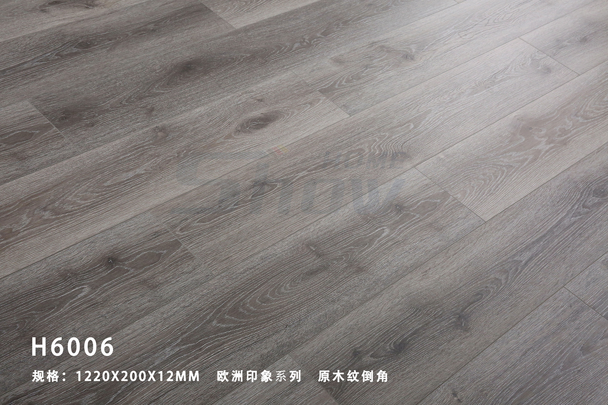 h6006.jpg