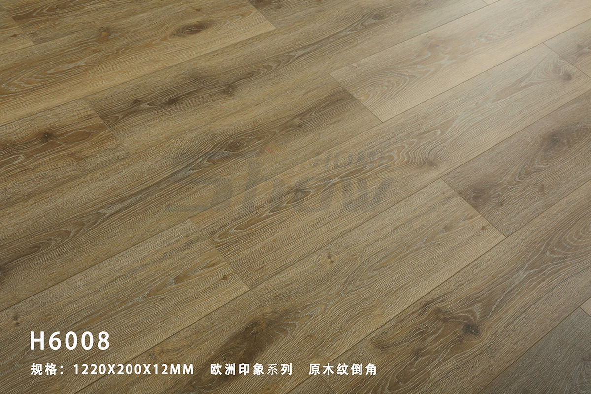 h6008.jpg
